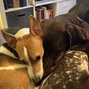 Nick Bowes - @NBowes91990 - Twitter