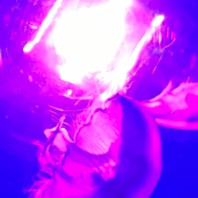 水音(ログアウトしてます)さんのプロフィール画像