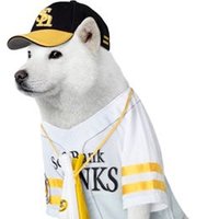 nk細胞 (@nkcell0309) Twitter profile photo