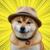 dogswifhats (@dogswifhatstrx) Twitter profile photo dogswifhats (@dogswifhatstrx) Twitter profile photo