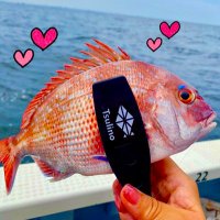 なつ🐟🌹🎤🍺 (@summer_spring_8) 's Twitter Profile
