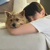 kiki ๑ï —— ⭐️🐯 (@cloud1522) 's Twitter Profile
