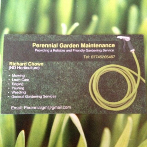 PerennialGM's profile picture. Friendly and local gardening business in Billericay Essex
