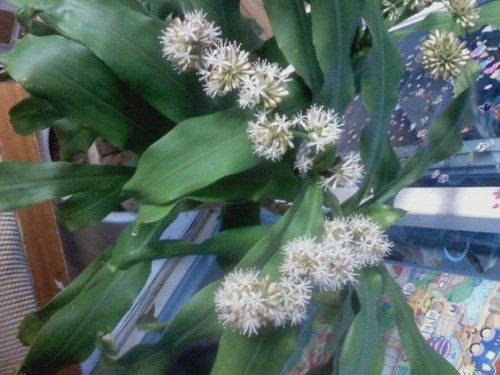 Geophy_Hanki's profile picture. 5년간의 노력, 그리고 결실, 미래, 희망, 사랑합니다.