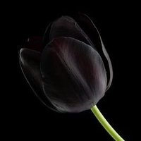 مغردة من المريخ (@dontjudge33) Twitter profile photo
