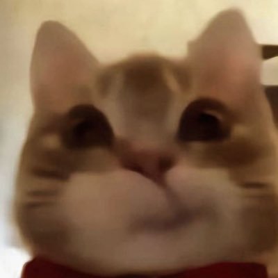 ⟢さんのプロフィール画像