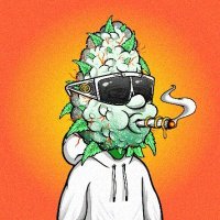 美咲🦨＠ネットゲーム厨⛺️ (@sseranpoka1989) Twitter profile photo