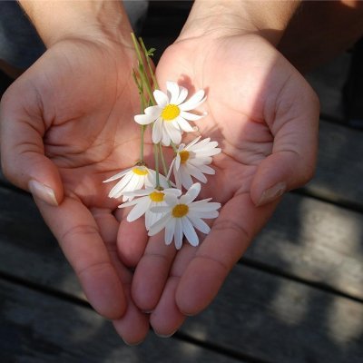 副業で収入を増やすコツを紹介中。副業を始めたい人に有益な情報をお届け。わずかですが現金プレゼント企画もしております☆ 詳しくはここから⇒ https://t.co/Uvqeqt9qKA