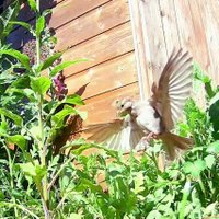 Alex (@seeing_clearly) 's Twitter Profile