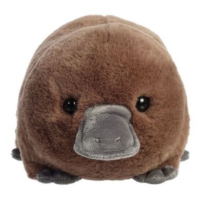 여름달さんのプロフィール画像