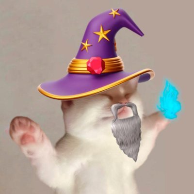 shakachef's profile picture. cookin up ripping waves