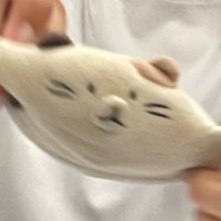 もちちゃん🫵 (@_mochimochi_ooo) 's Twitter Profile
