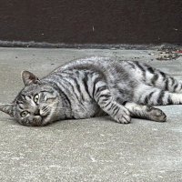 おはぎ@27卒 (@i5gwlt1ixj67075) 's Twitter Profile