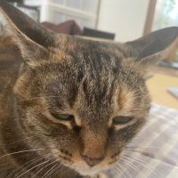 Axis (@axiss311) 's Twitter Profile
