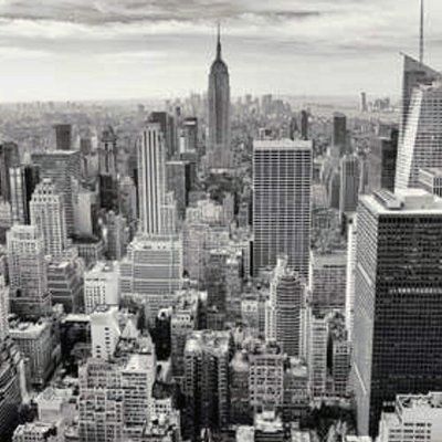 BisseggerK68491's profile picture. 