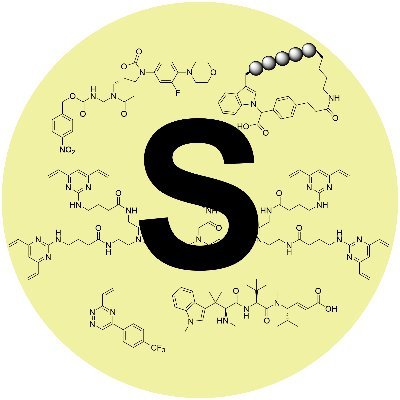 Spring Group Profile