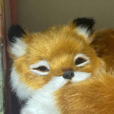 🌸シュアヤ🦊さんのプロフィール画像