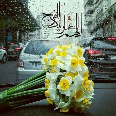 یه آدمِ معمولیام! شبیه کسی نیستم، هیچکس شبیهم نیست.