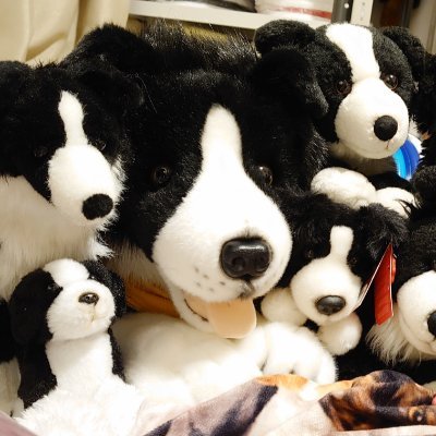 🐾FB💯　相互💯🐾
ロック履歴（１）回
