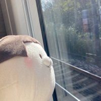 みぃ (@mili_1945) Twitter profile photo