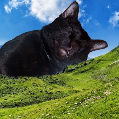 🦭