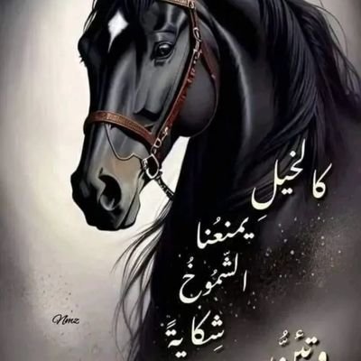 AA345600's profile picture. 