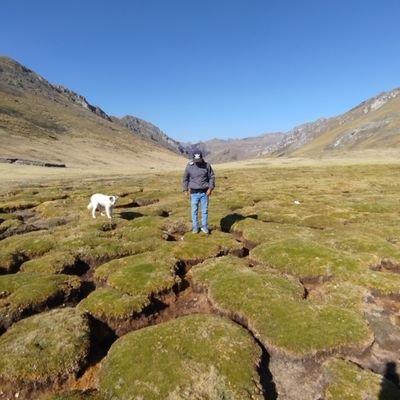 JJustoVig's profile picture. Bsc. in economics | UNALM  | Institutional, Ecological and Development Economics | Interés en políticas públicas | Indigena yaro. Llapanchik shumak kawsay