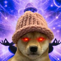 Σ L I O 👑 (@eliowif) 's Twitter Profile Photo Σ L I O 👑 (@eliowif) 's Twitter Profile Photo