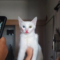 Yıldız Yıldız (@yldz2288) 's Twitter Profile Photo