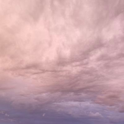 das1nde's profile picture. 