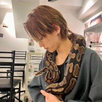 ササダ@はちゅ飼い (@sasada_hacyu) 's Twitter Profile Photo ササダ@はちゅ飼い (@sasada_hacyu) 's Twitter Profile Photo