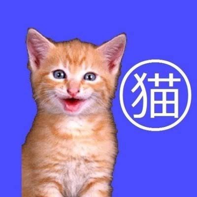 ねこやんさんのプロフィール画像