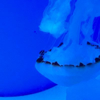 02Hi10na's profile picture. オタ活