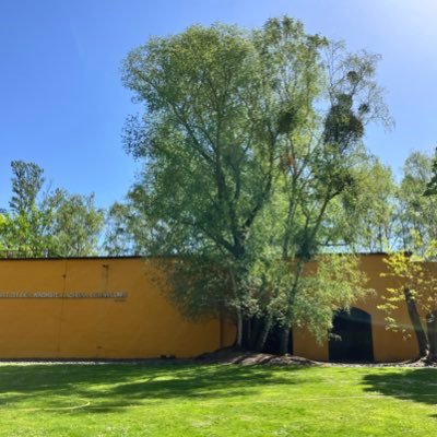 nemo_germany's profile picture. 個人的に気になった商品、食べ物等の情報を発信、RTします🇩🇪 #ドイツ #nemo_de #ドイツ生活