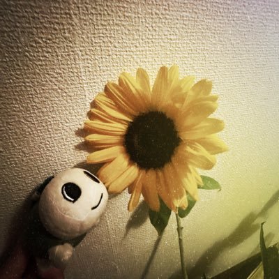 7__65___'s profile picture. 