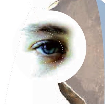 MeceneInfos's profile picture. 16 years of valuable expertise in the field of corporate philanthropy, sponsoring, CSR, fundraising, for corporate, public institutions, local governments, NGO.