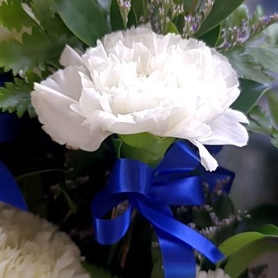 nv90796's profile picture. 