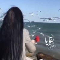 ِبقـ حلم ـايا..إستثنائية..®♡D (@x_0_06) Twitter profile photo