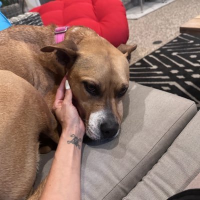 dawnkirsch11's profile picture. Currently saying yes to new adventures