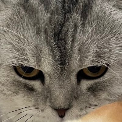 mingyueee's profile picture. 