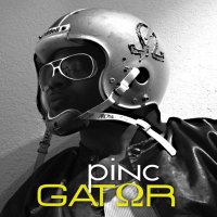 pincgator (@pincgator) 's Twitter Profile