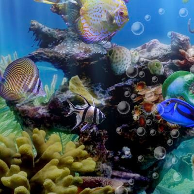 JINLING154996's profile picture. 你是我的唯一