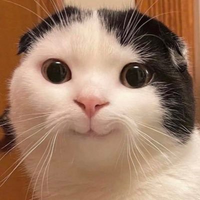 ちあさんのプロフィール画像