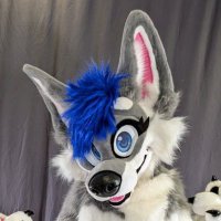 Sapphire Husky (@sapphire__husky) 's Twitter Profile Photo Sapphire Husky (@sapphire__husky) 's Twitter Profile Photo