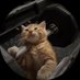 shakey (@doodshake) Twitter profile photo shakey (@doodshake) Twitter profile photo