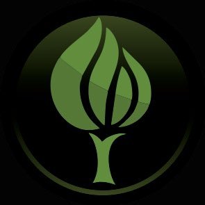 Romtrees's profile picture. Fully automated telegram mini app on TON. Try it now at https://t.co/dWccrVuCB2