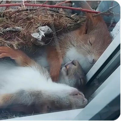 neonlazerwizard's profile picture. eth eth eth