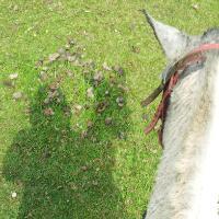 HERNANDOBEO's profile picture. 