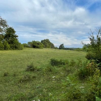 VeyselOzturk34's profile picture. 