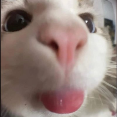 sirkreptooo's profile picture. 